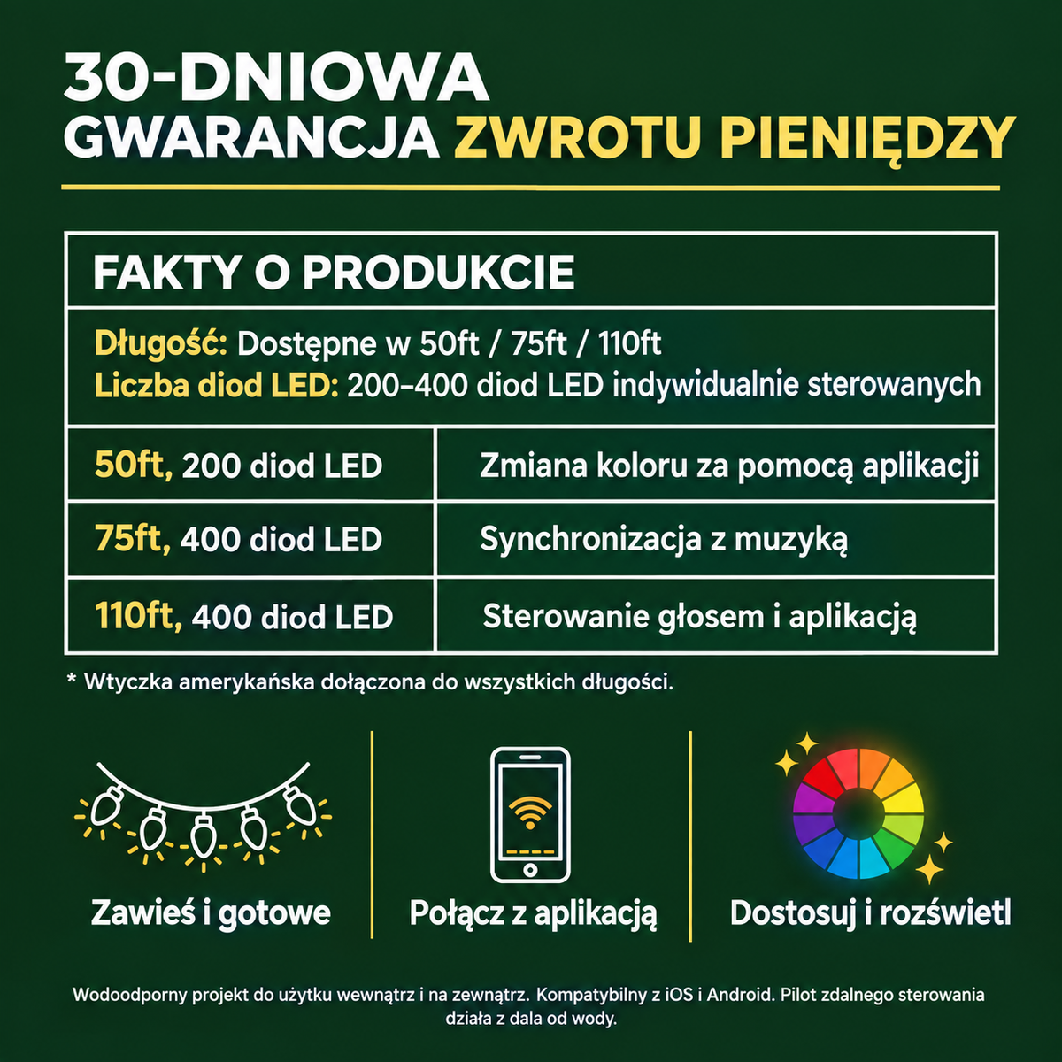 LedowaKurtyna